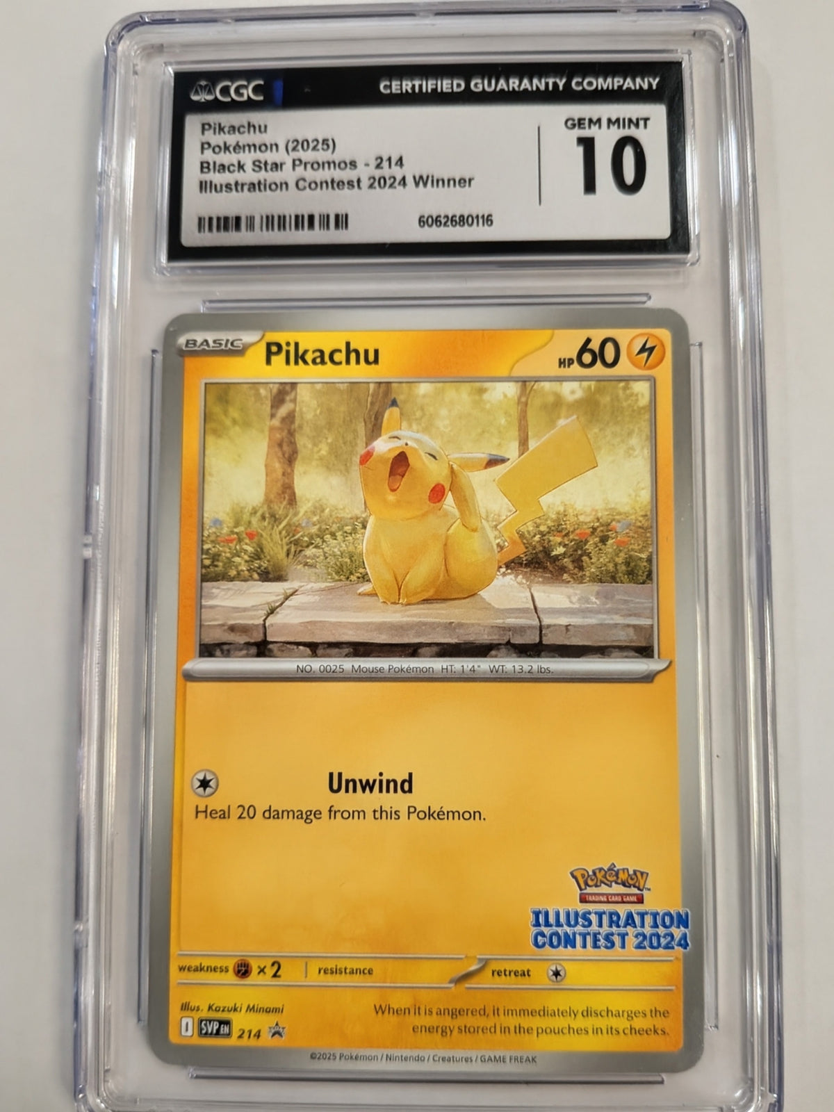 Pokémon Trading Card Game: Mystery Graded Card Pack (Slab Pack)