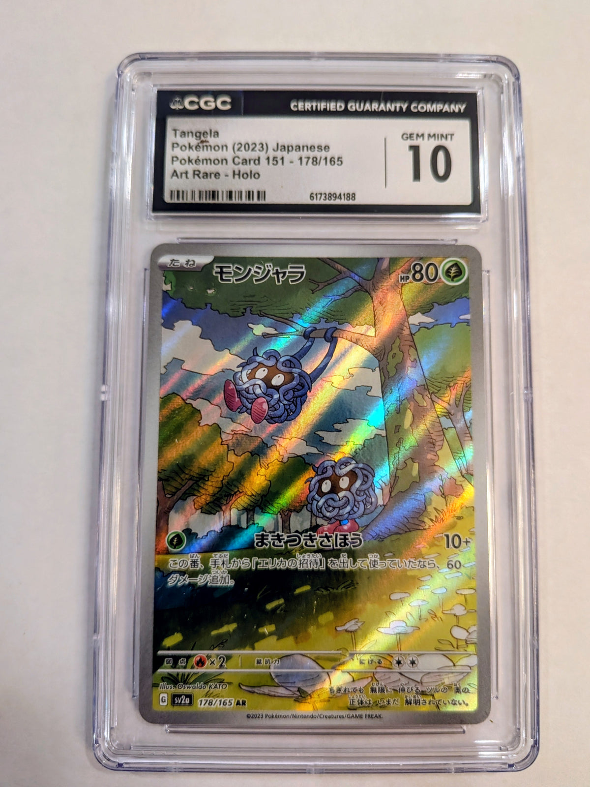Pokémon Trading Card Game: Mystery Graded Card Pack (Slab Pack)