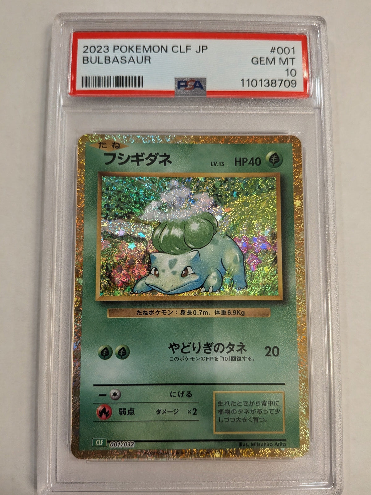 Pokémon Trading Card Game: Mystery Graded Card Pack (Slab Pack)